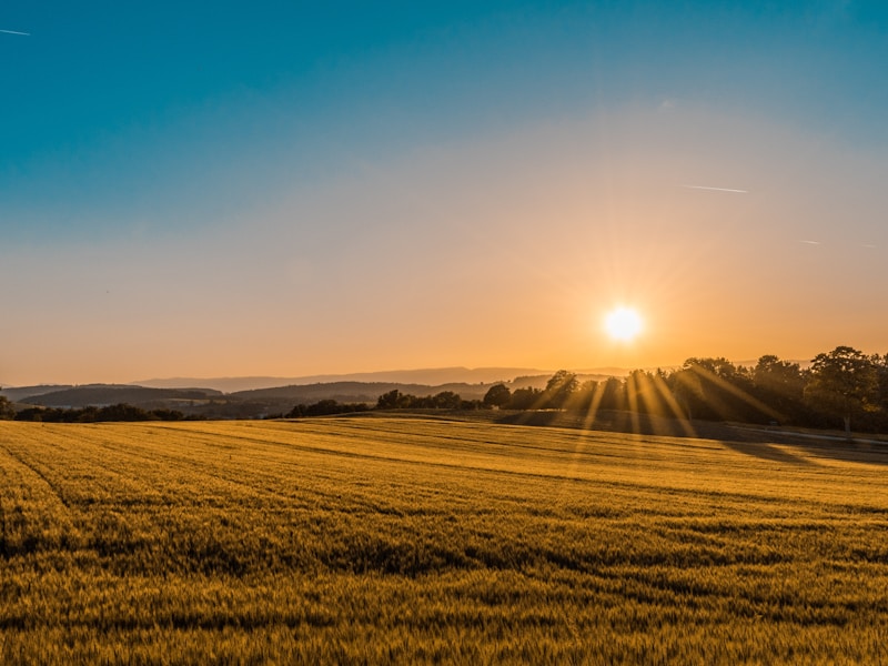 Indian green farmland Hyderabad