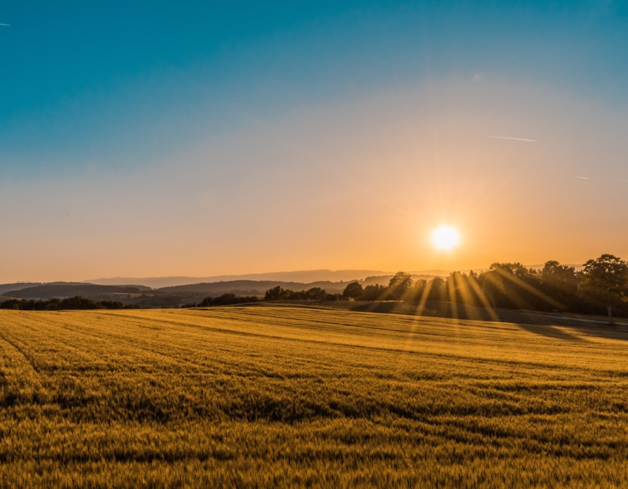 Farmland growth and cultivation