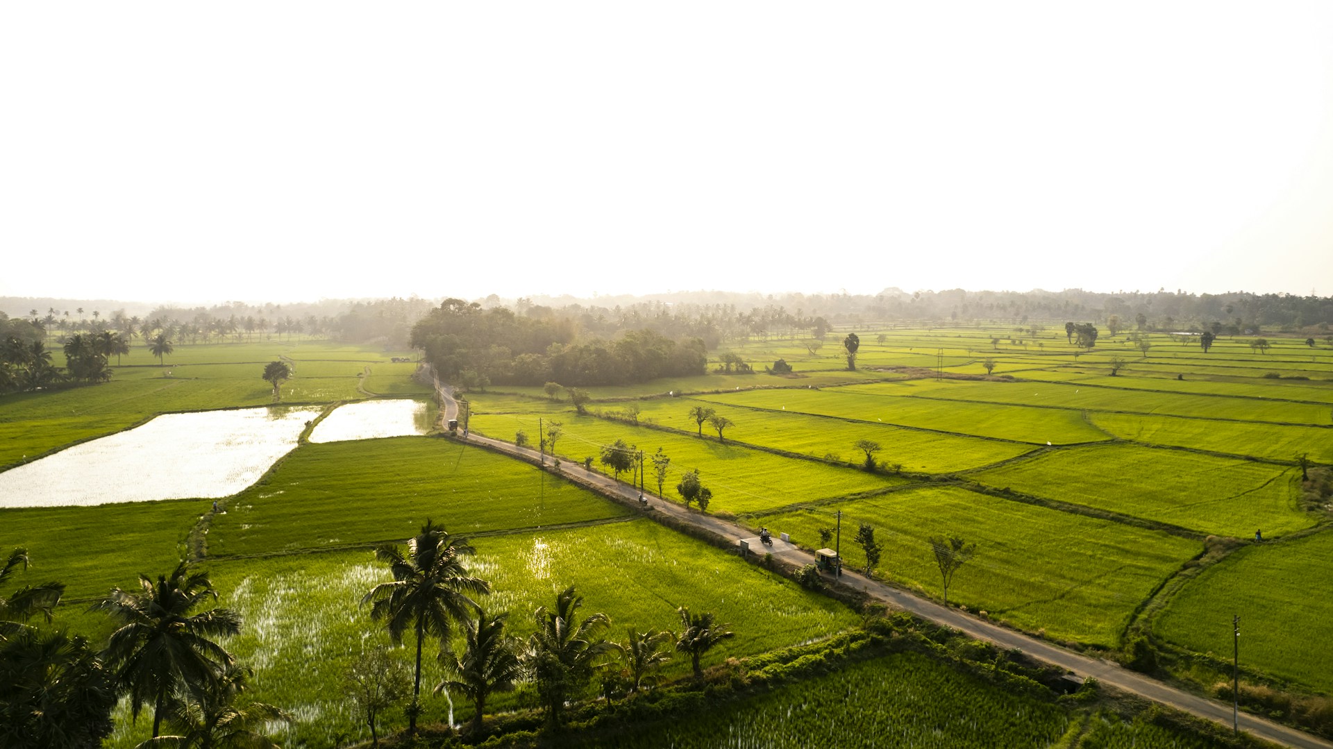 Farm land investment Telangana