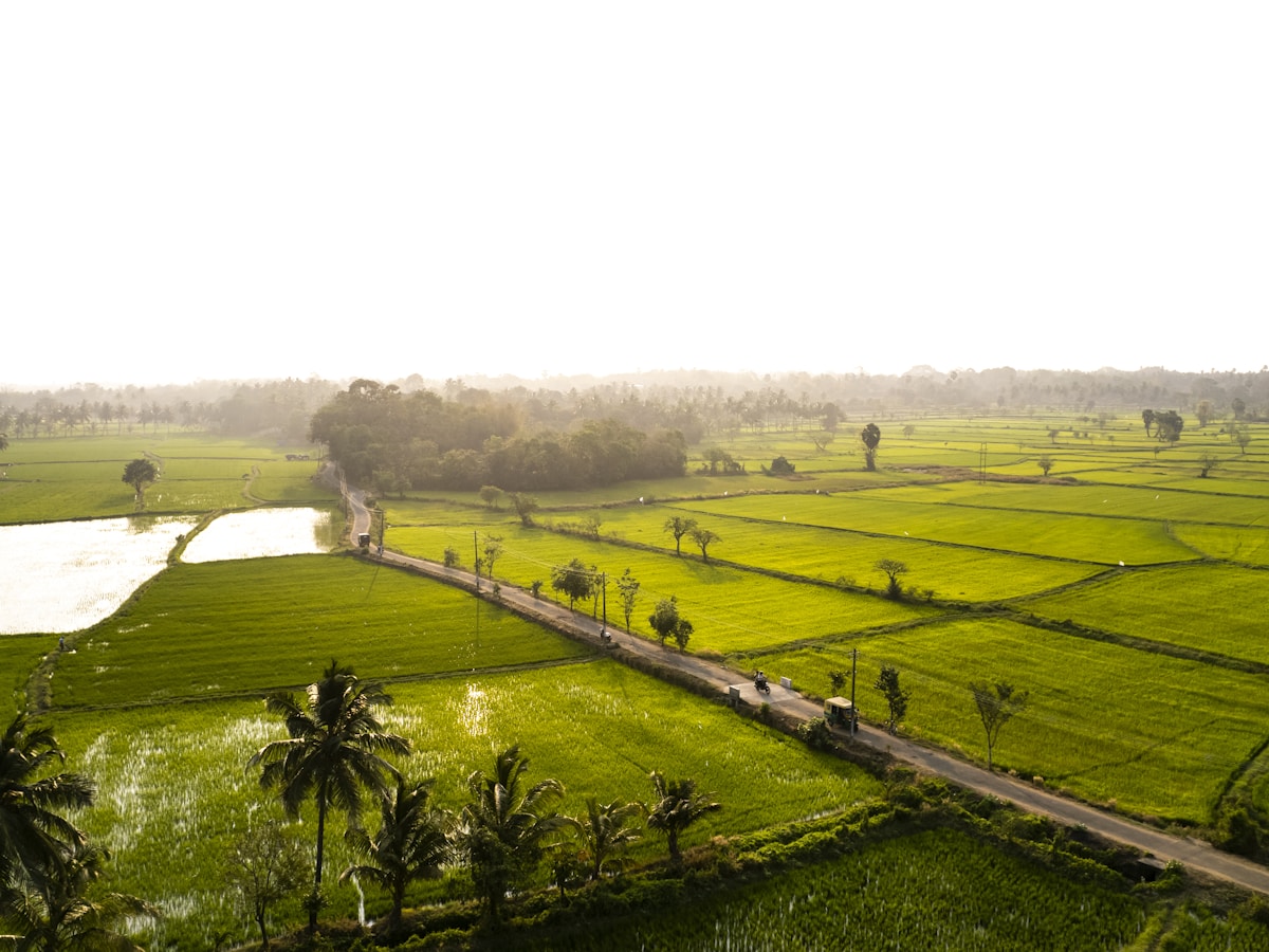 Green Valley Farms farmland