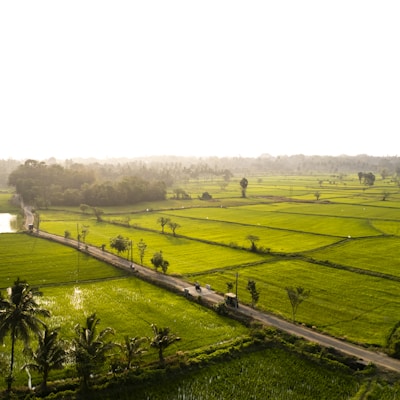 Farmland cultivation growth
