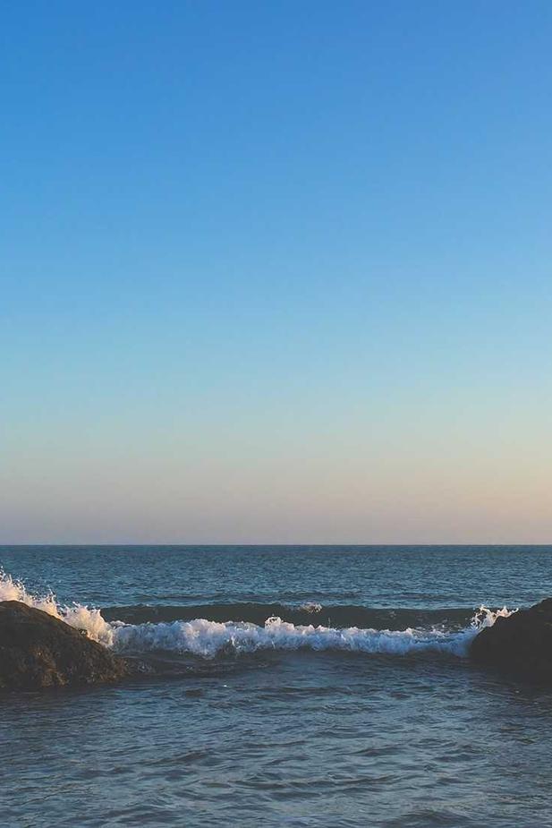 Hill County Farms